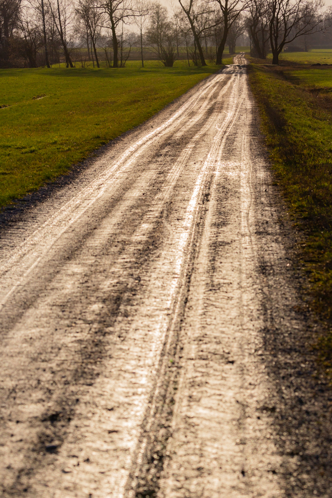 Lauteracherried im Jänner 76